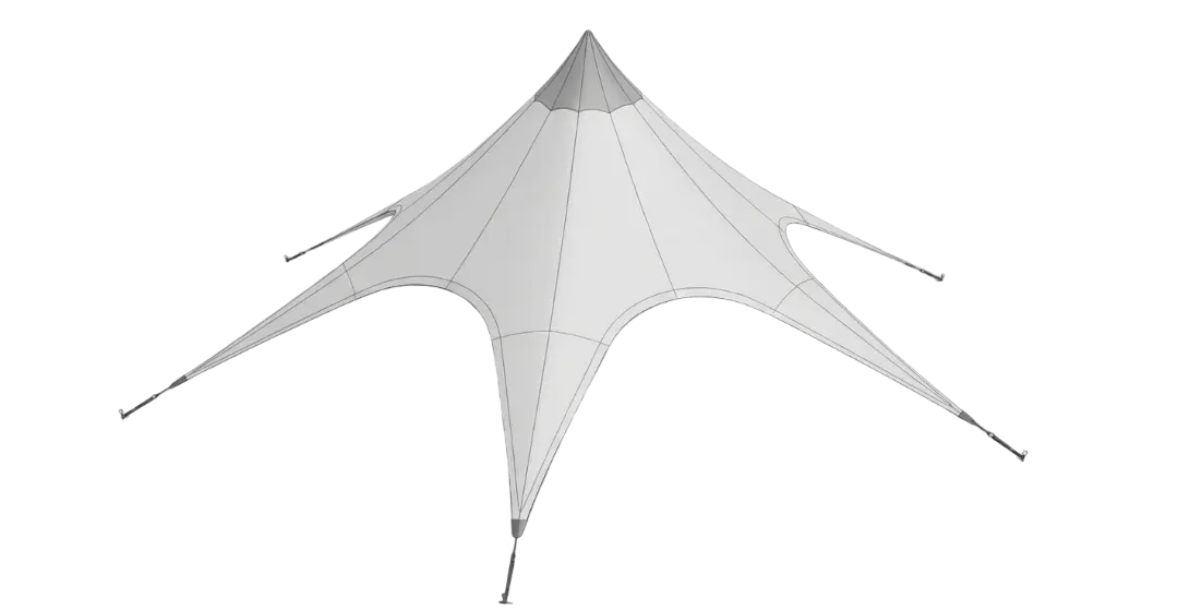 Carpa estrella — referencia 2