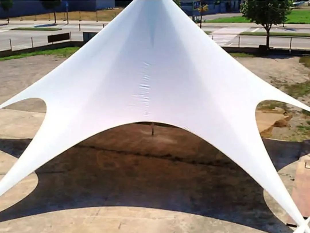 Carpa estrella — referencia 3