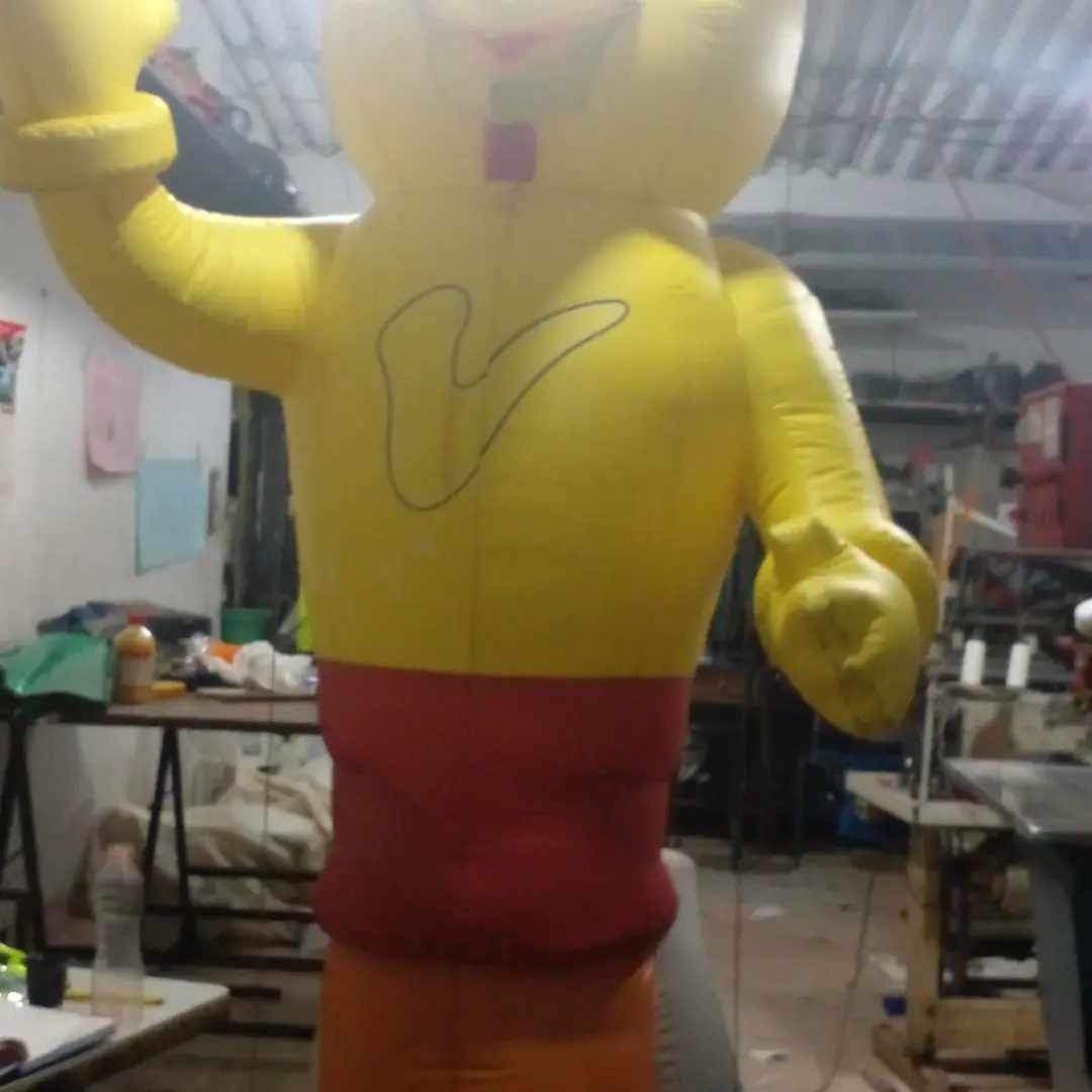 Dummies — referencia 4